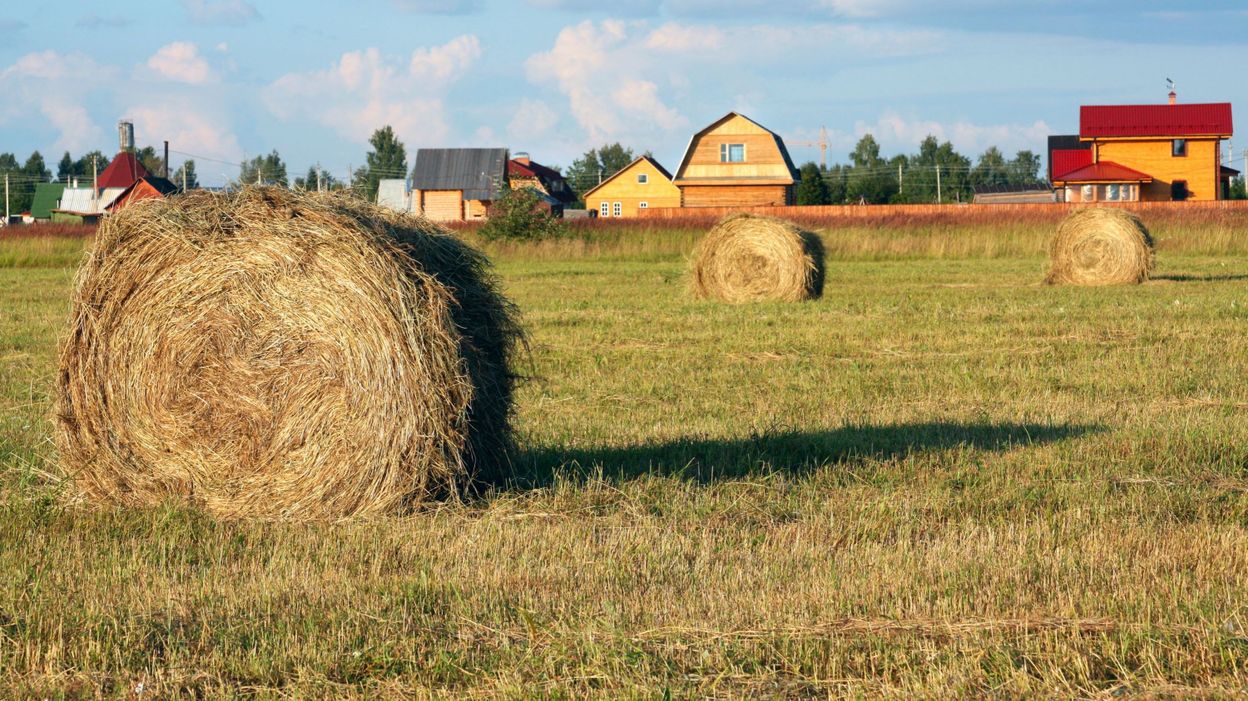 Visiter Une Ferme Consommer Local Decouvrir Les Animaux Nos Bons Plans Pour Petits Et Grands