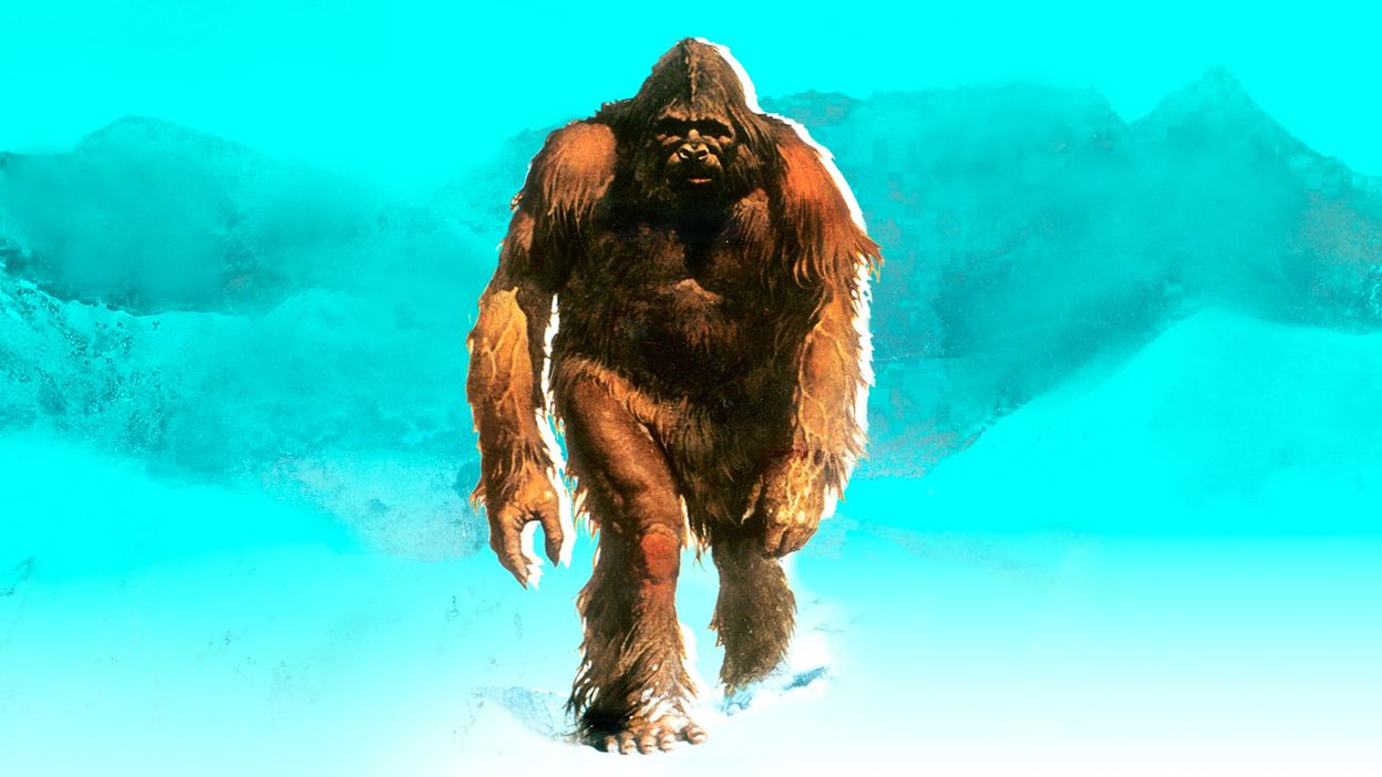 Le Yeti Existe T Il Vraiment Le yéti : savez-vous qui est vraiment l'abominable homme des neiges