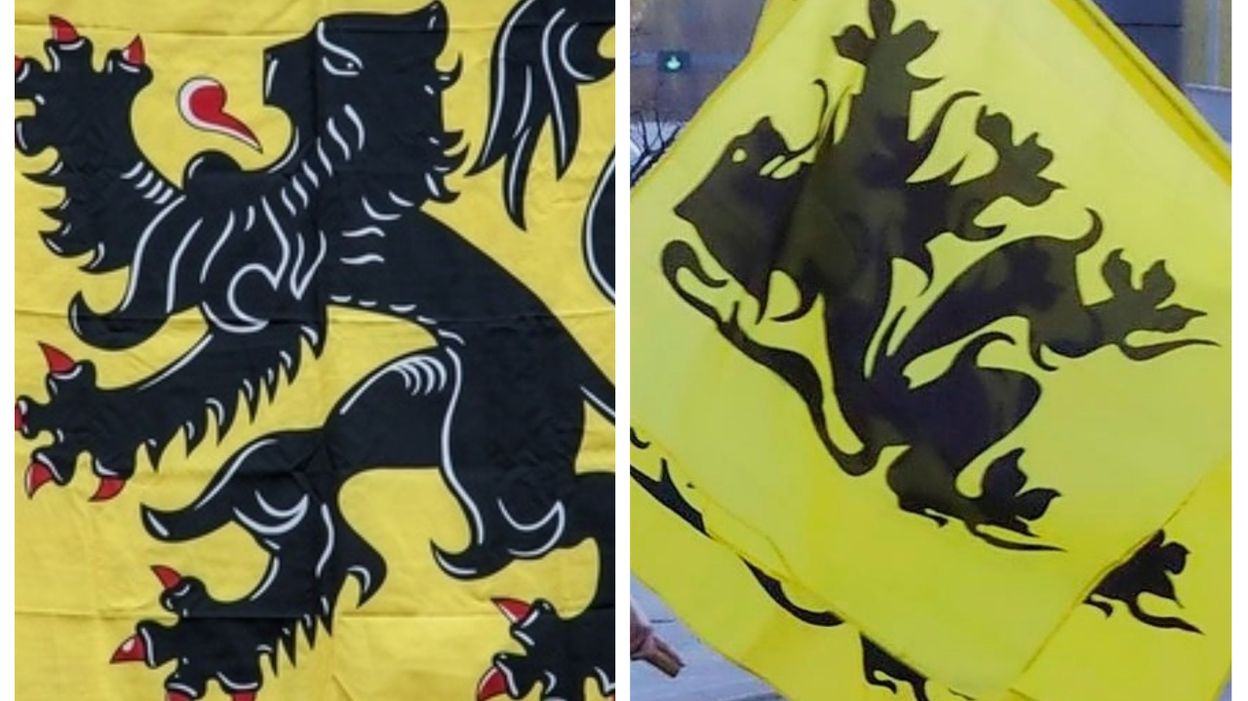 Drapeau Flamand Ou Flamingant Quelles Différences