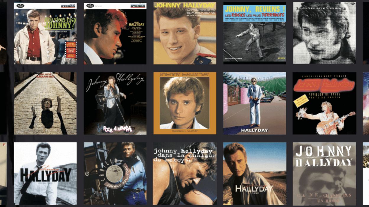 Remportez La Collection Complete Des Vinyles De Johnny Hallyday Sur Vivacite