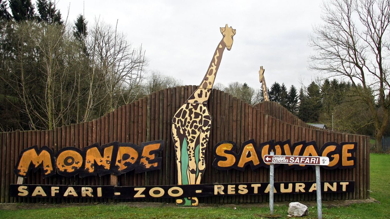 safari au monde sauvage d'aywaille