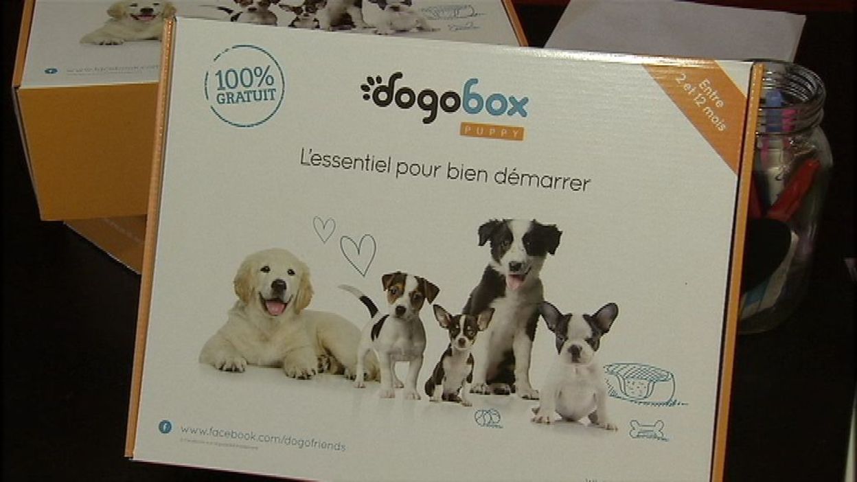 La Dogobox, une boîte cadeau pour nos animaux de compagnie