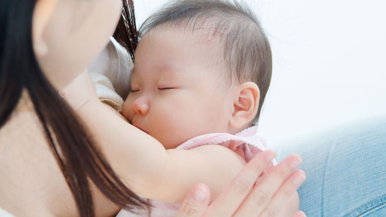 Lait De Soja Des Perturbations Du Systeme Reproducteur Observees Chez Les Bebes