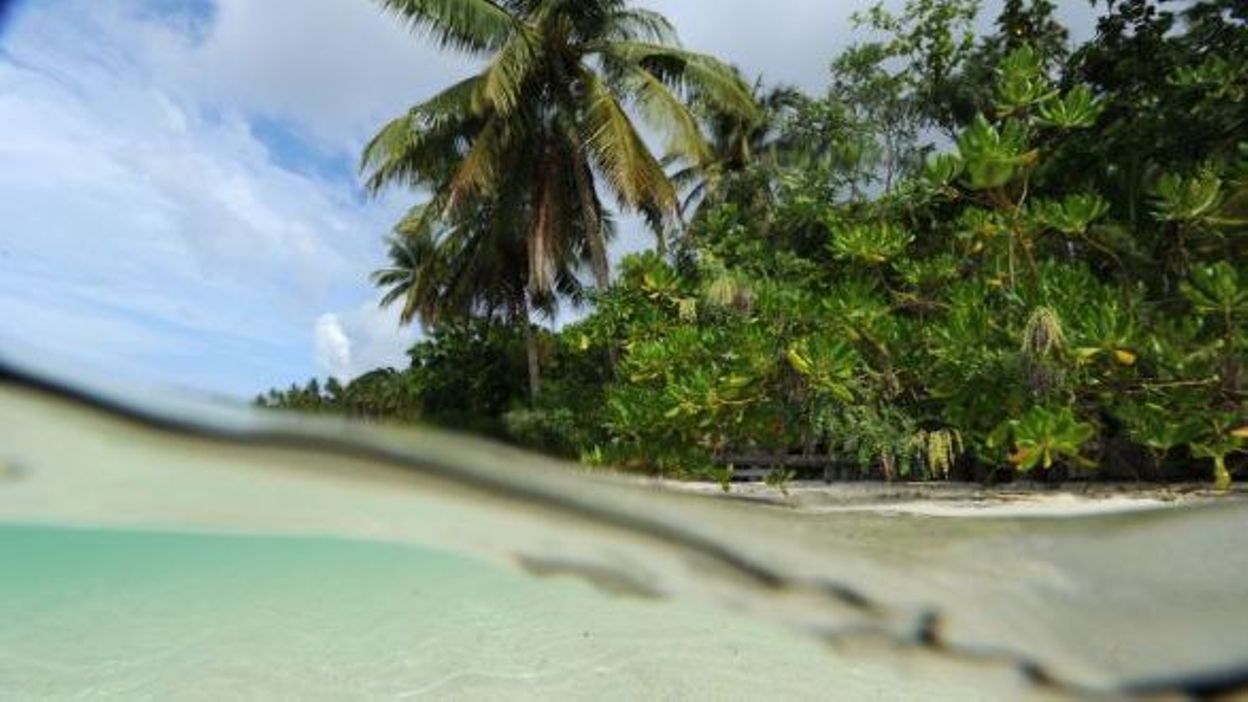 Indon sie un paradis en sursis l archipel de Raja Ampat