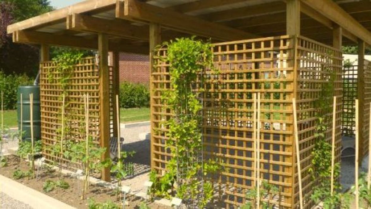 Le jardin des petits fruits, un projet intergénérationnel et pédagogique