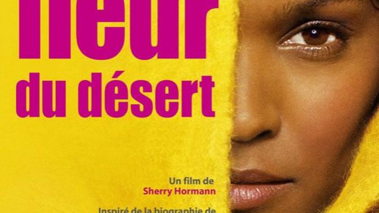Streaming Fleur Du Désert "Fleur du désert", nouveau regard sur l'excision