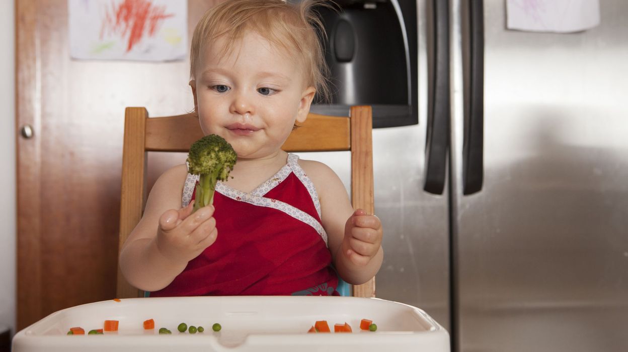 Dme Ou Diversification Alimentaire Menee Par L Enfant Quels Avantages Quels Inconvenients