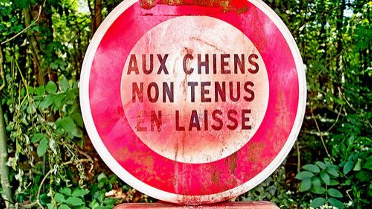 Coronavirus, de la promenade au coiffeur: que puis-je faire? Coronavirus, de la promenade au coiffeur: que puis-je faire?