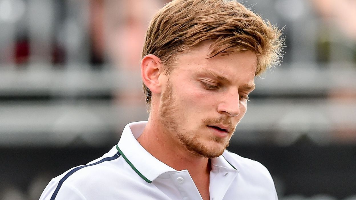 David Goffin reste 15e au classement ATP