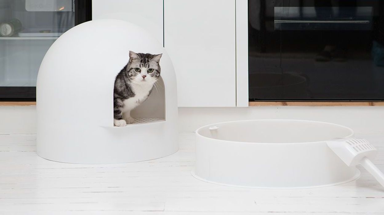 Une Litiere Pour Chat Design Et Qui Ne Sent Pas