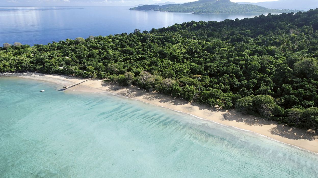 Mayotte Un projet de création d'une réserve naturelle des forêts publiques