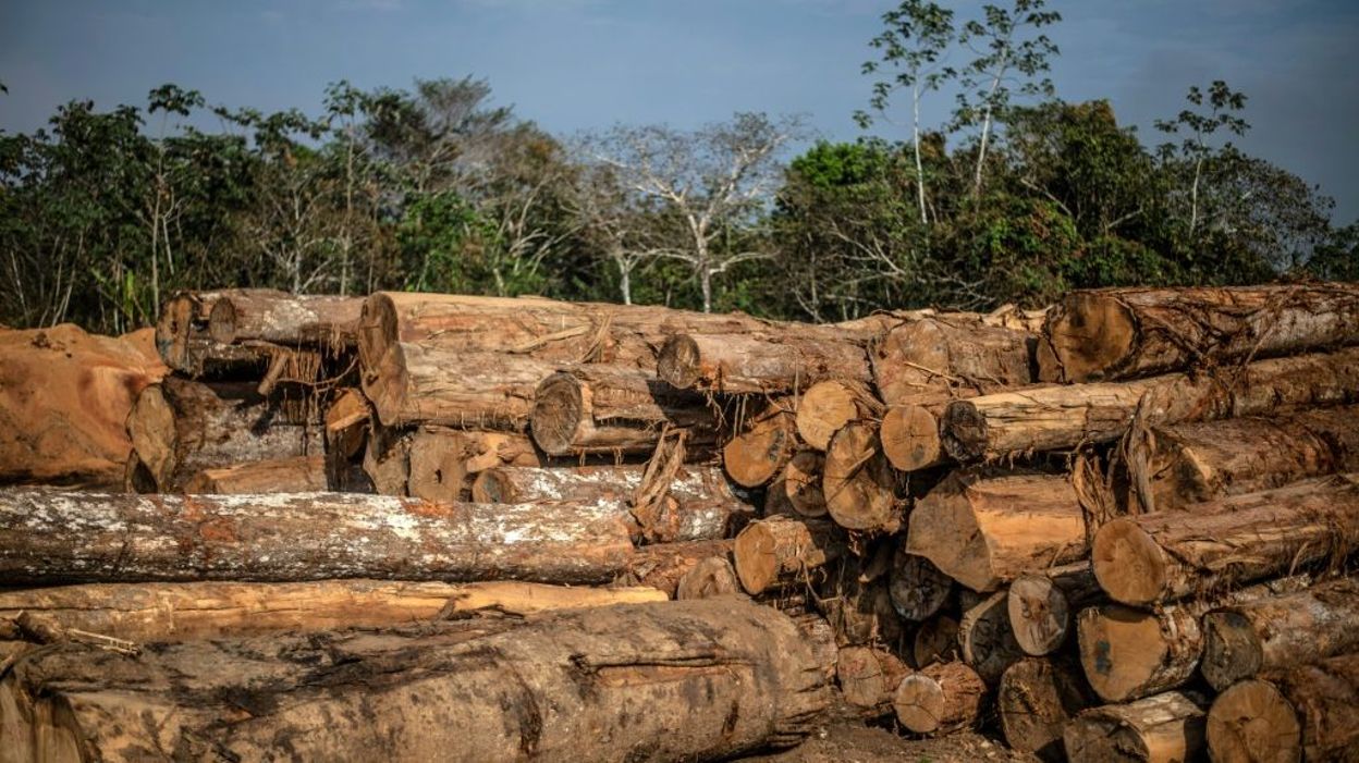 Smartphones et satellites comme moyen de lutte contre la déforestation pour les populations indigènes - Vimarsana News
