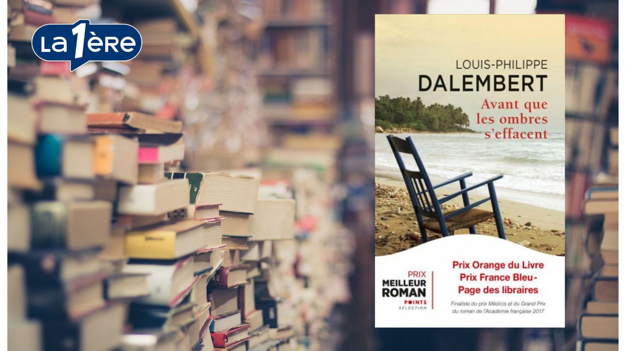 Avant Que Les Ombres Seffacent Un Roman Sur Un Pan - 