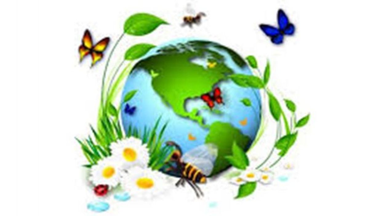 Vous avez dit biodiversité