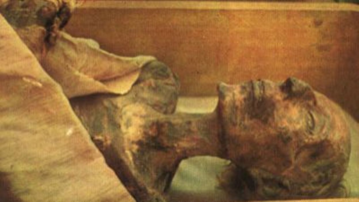 La vie posthume de Ramsès II La vie posthume de Ramsès II