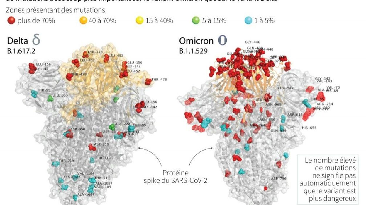 La première "image" d’Omicron montre bien plus de mutations que sur Delta