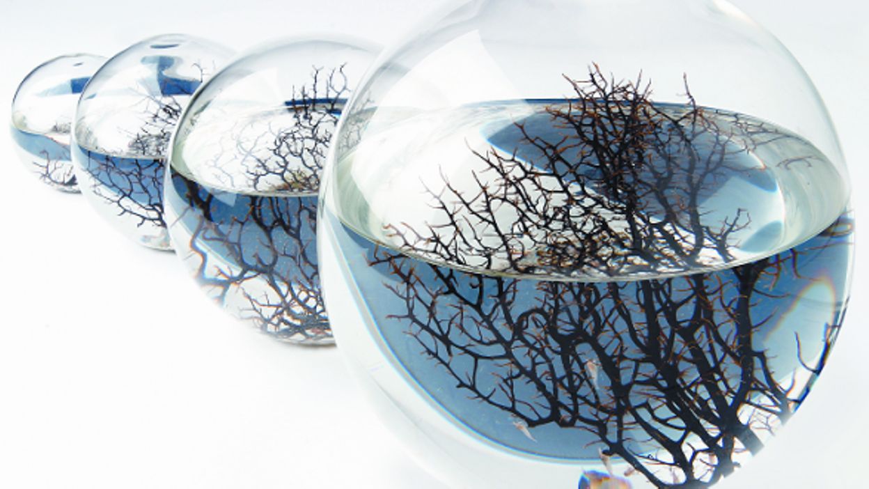 Ecosphere On Steam