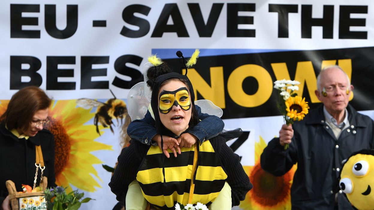 La proposition de loi visant à interdire les néonicotinoïdes, ces pesticides 'tueurs d’abeilles' vient d’être votée à la Chambre. « Ce texte est une étape très importante pour la protection de notre environnement et de notre santé. En effet,...