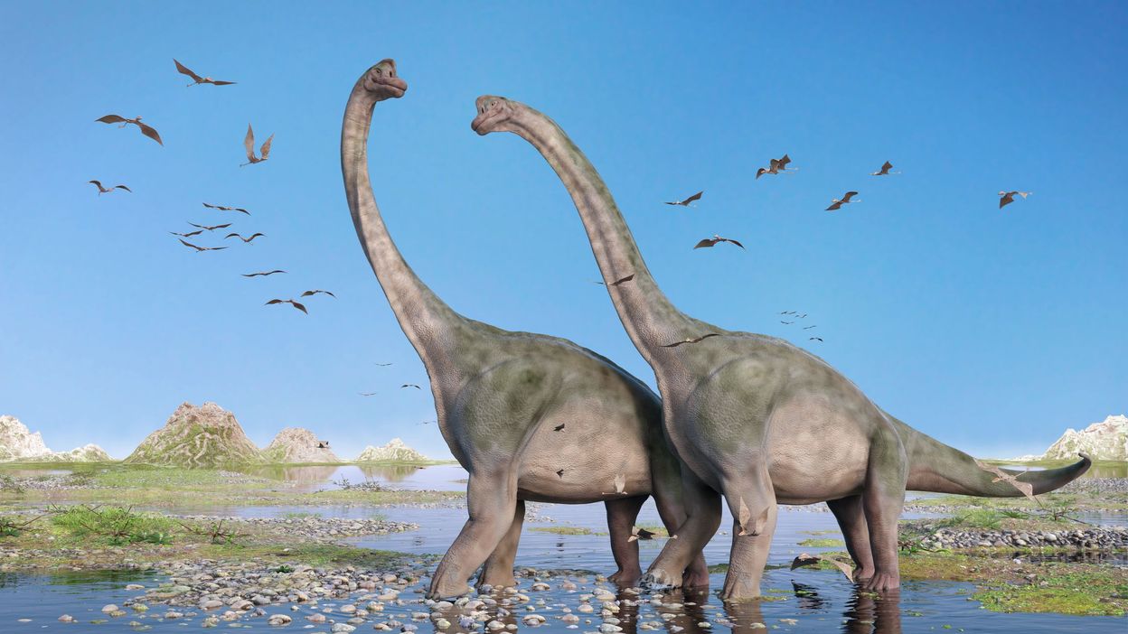 Pourquoi certains dinosaures avaientils un si long cou