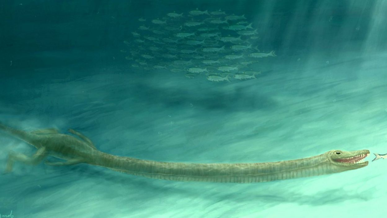 Scientists Unravel The Riddle Of A Sea Monster Reminiscent Of The Loch Ness Monster World Today News