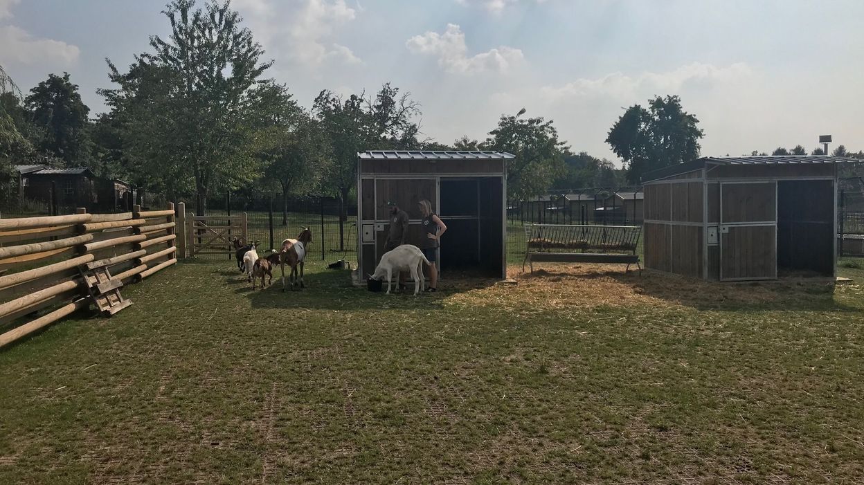 BraineleChâteau un refuge pour les animaux de ferme