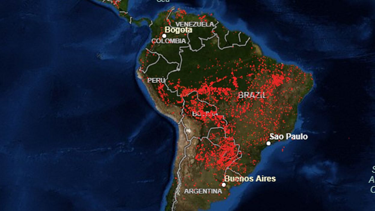 Il y a plus d'incendies en ce moment en Afrique subsaharienne qu'en Amazonie