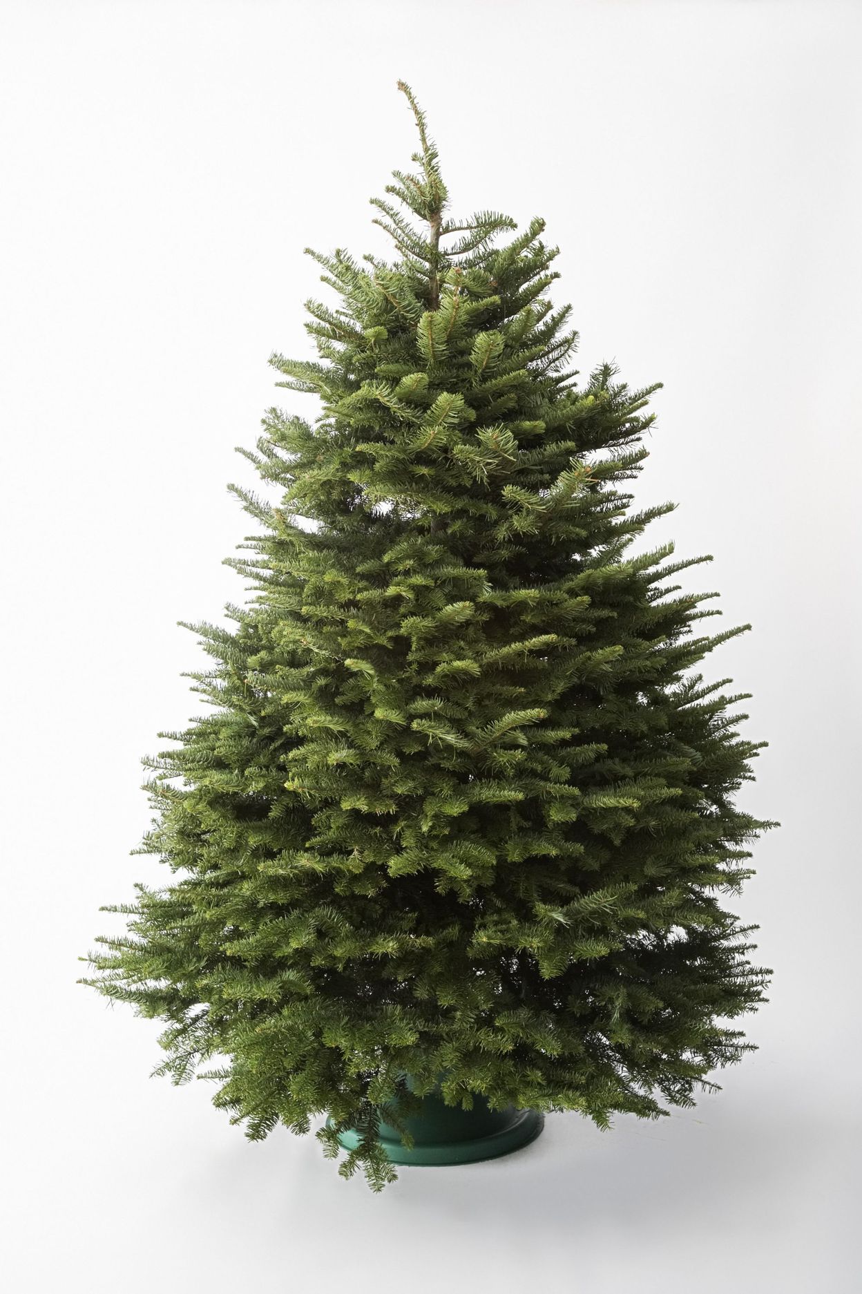 Sapin de Noël : naturel ou artificiel