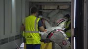 "Liege Cargo Agency" organise le transport de fret. "Liege Cargo Agency" organise le transport de fret.