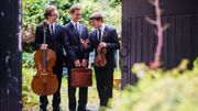 Le Trio Busch Le Trio Busch