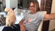 Le cacatoès d’Iggy Pop fait sensation sur le web avec sa danse très particulière Le cacatoès d’Iggy Pop fait sensation sur le web avec sa danse très particulière
