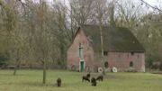Le moulin du Stwerdu a été construit en 1620. Le moulin du Stwerdu a été construit en 1620.