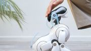 Aibo, le chien robot de Sony, renaît de ses cendres Aibo, le chien robot de Sony, renaît de ses cendres