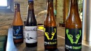 La brasserie Lupulus a fait le pari d'exploiter la puissance du houblon pour apporter aux bières une touche de modernité. La brasserie Lupulus a fait le pari d'exploiter la puissance du houblon pour apporter aux bières une touche de modernité.