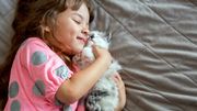 Les chats aiment leurs maîtres comme des parents. Les chats aiment leurs maîtres comme des parents.