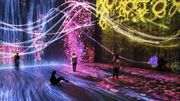 "Team Lab : Au-delà des limites", l'art numérique dans une autre dimension "Team Lab : Au-delà des limites", l'art numérique dans une autre dimension