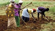 Le Rwanda : une réussite de façade ? Le Rwanda : une réussite de façade ?