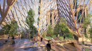 L'architecte belgo-parisien Vincent Callebaut propose son projet pour Notre-Dame L'architecte belgo-parisien Vincent Callebaut propose son projet pour Notre-Dame