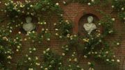 Le jardin du bâtiment sont pris d'assaut par un rosier grimpant Le jardin du bâtiment sont pris d'assaut par un rosier grimpant