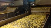 L'usine de transformation de pommes de terre de Leuze-en-Hainaut va devenir l’usine phare du groupe Mc Cain dans le monde L'usine de transformation de pommes de terre de Leuze-en-Hainaut va devenir l’usine phare du groupe Mc Cain dans le monde