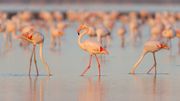 Direction Arles et la Camargue : les bons plans Direction Arles et la Camargue : les bons plans