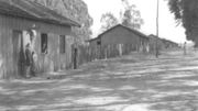 Le lieu dit "l'Avenue Louise", la première rue où les Belges ont construit des maisons à Monte Alegre. Photo prise au début des années 60. Le lieu dit "l'Avenue Louise", la première rue où les Belges ont construit des maisons à Monte Alegre. Photo prise au début des années 60.