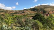 Reboiser l'âme humaine, le challenge de Naïna, neuropsychiatre à Madagascar Reboiser l'âme humaine, le challenge de Naïna, neuropsychiatre à Madagascar