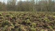Le terrain de foot de Jamioulx, après le passage de sangliers. Le terrain de foot de Jamioulx, après le passage de sangliers.