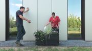 Transformation d'une maison au coeur d'un écrin de verdure Transformation d'une maison au coeur d'un écrin de verdure
