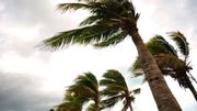 Amérique du Nord: Gert, deuxième ouragan de la saison Amérique du Nord: Gert, deuxième ouragan de la saison