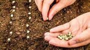 Gardez naturellement votre autonomie au jardin ! Gardez naturellement votre autonomie au jardin !