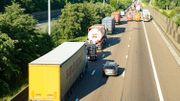 Accident sur l'E17 à Gentbrugge : une dizaine de vaches transportées par camion tuées Accident sur l'E17 à Gentbrugge : une dizaine de vaches transportées par camion tuées