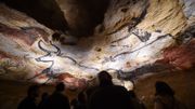 La nature doit reprendre ses droits dans la grotte de Lascaux La nature doit reprendre ses droits dans la grotte de Lascaux
