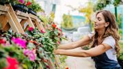 Comment entretenir sa jardinière ? Comment entretenir sa jardinière ?