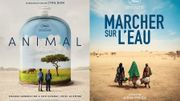De Louis Garrel à Cyril Dion, le Festival de Cannes s'engage pour le climat